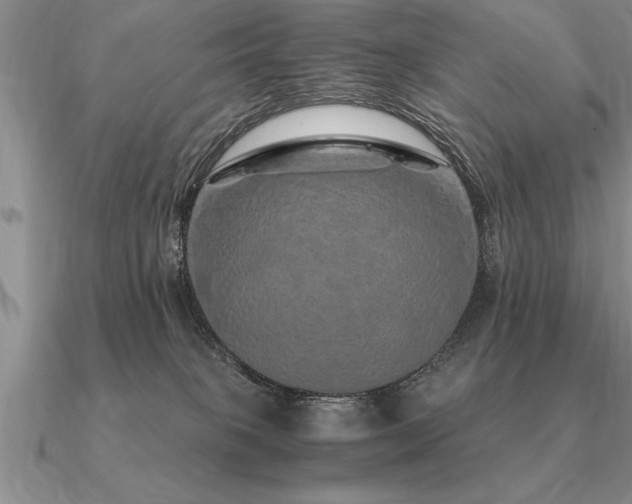 X0000091100085200708061428