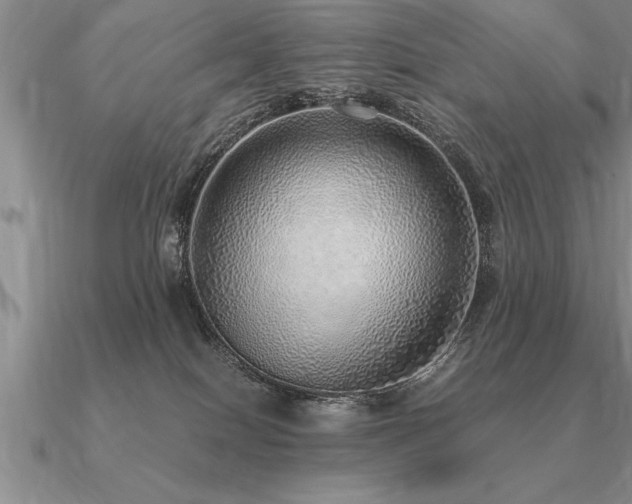 X0000091100086200708061428