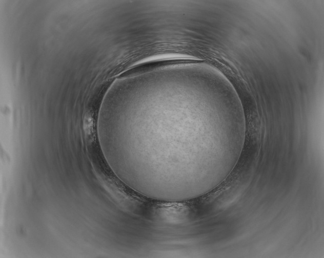 X0000091100087200708061429