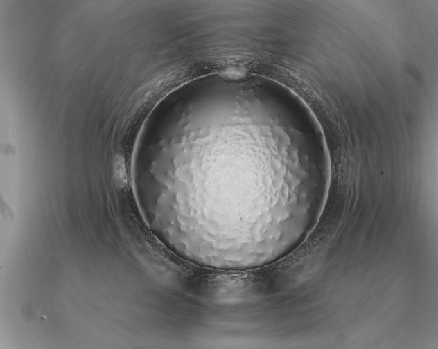 X0000091100089200708061429