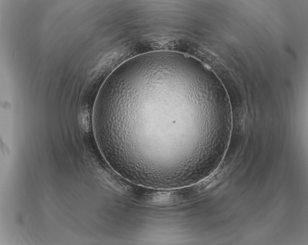 X0000091100090200708061429