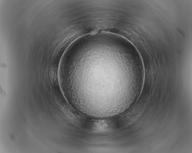 X0000091100091200708061429