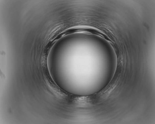 X0000091100092200708061429