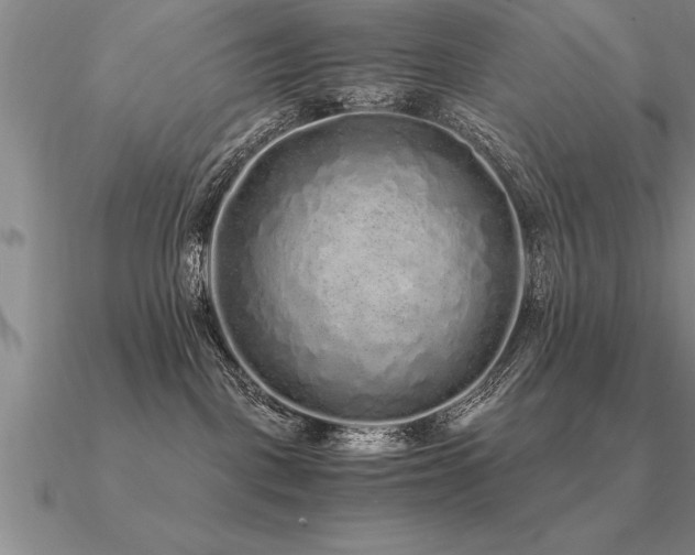 X0000091100093200708061429