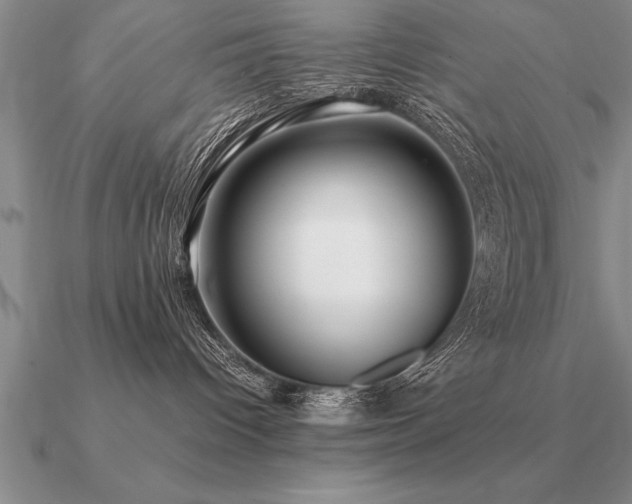 X0000091100096200708061429