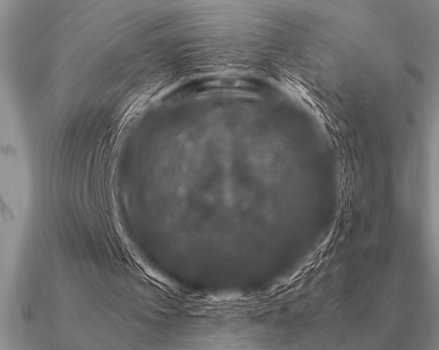 X0000091100097200708061428