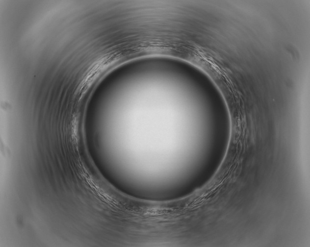 X0000091100098200708061428