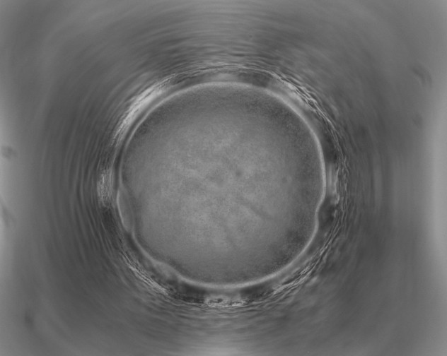 X0000091100099200708061428