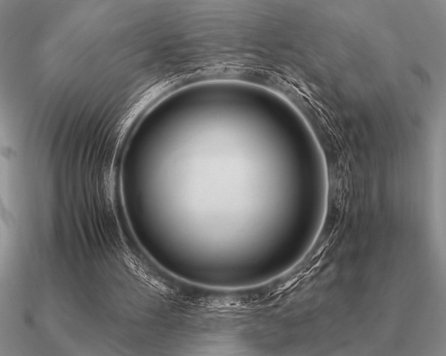 X0000091100100200708061428