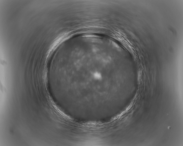 X0000091100101200708061428