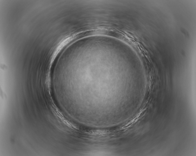 X0000091100102200708061428