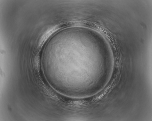 X0000091100103200708061428