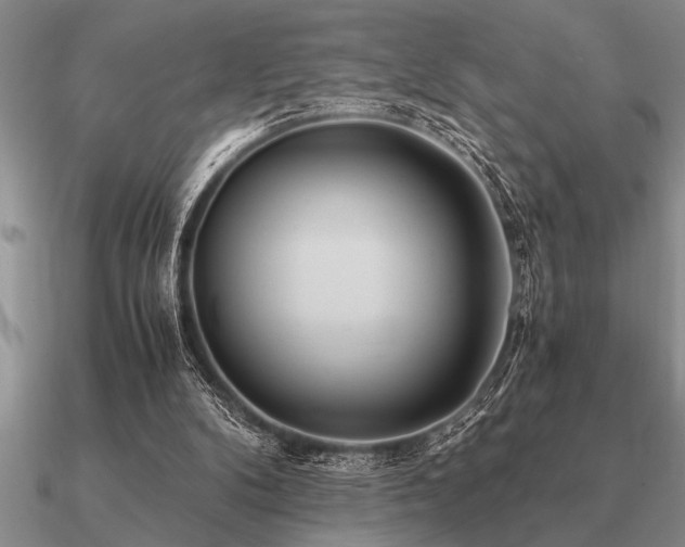 X0000091100104200708061428