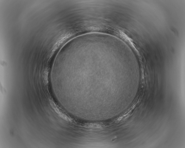 X0000091100106200708061428