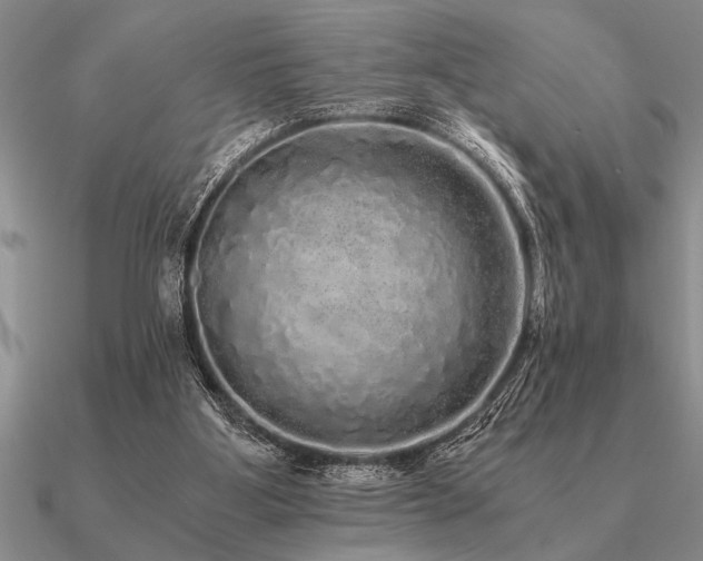 X0000091100107200708061428