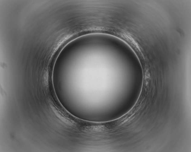 X0000091100108200708061428