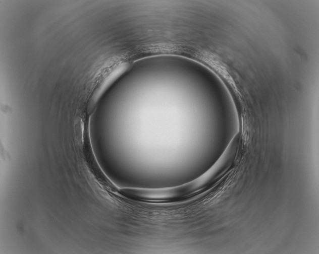 X0000091100109200708061428