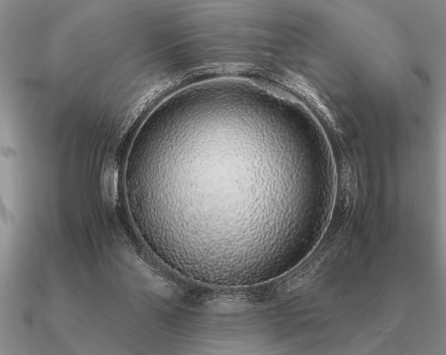 X0000091100110200708061428