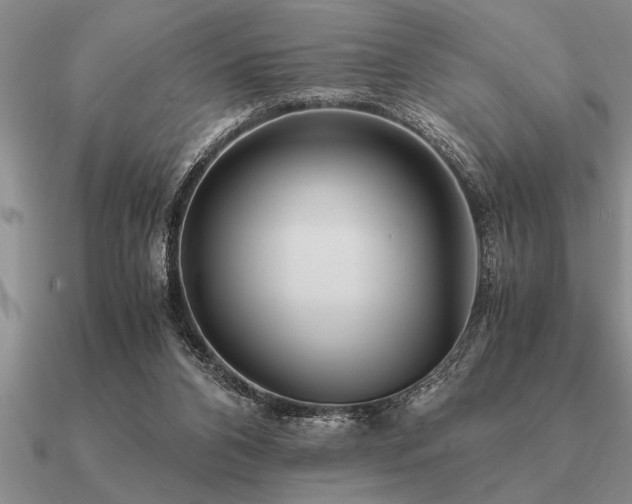 X0000091100112200708061428