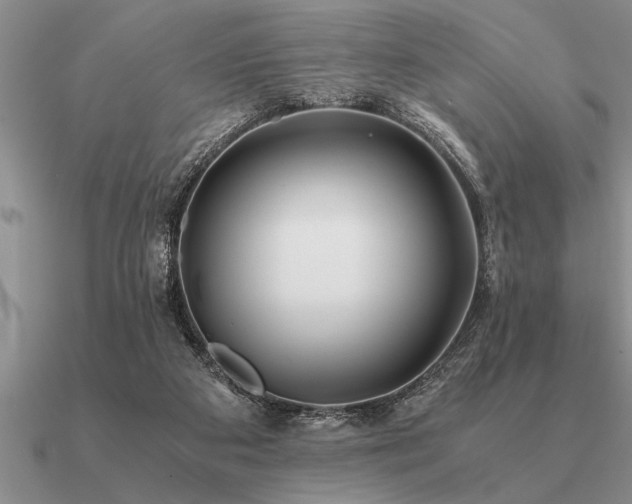 X0000091100113200708061428