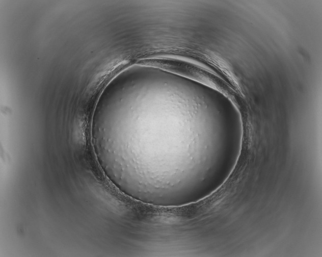 X0000091100114200708061428