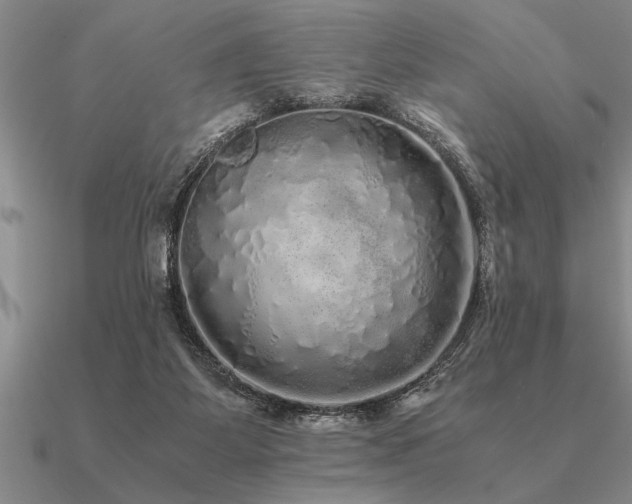 X0000091100115200708061428