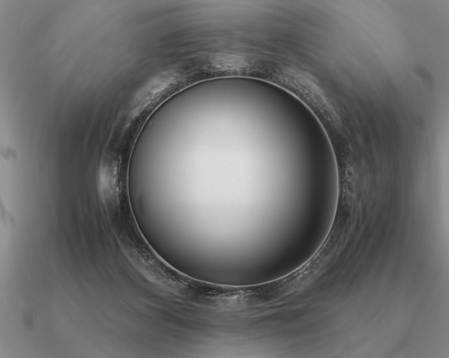 X0000091100116200708061428