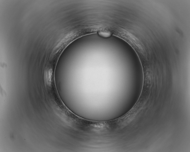 X0000091100118200708061428