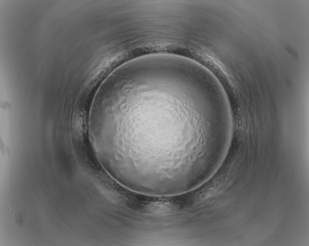 X0000091100119200708061428