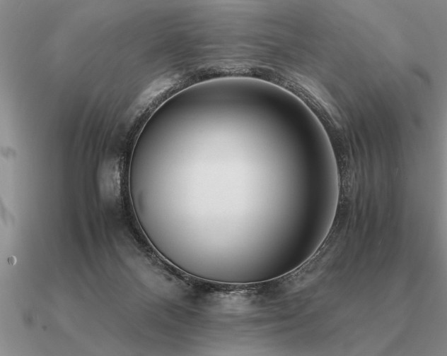 X0000091100120200708061428