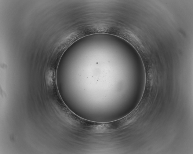 X0000091100122200708061428