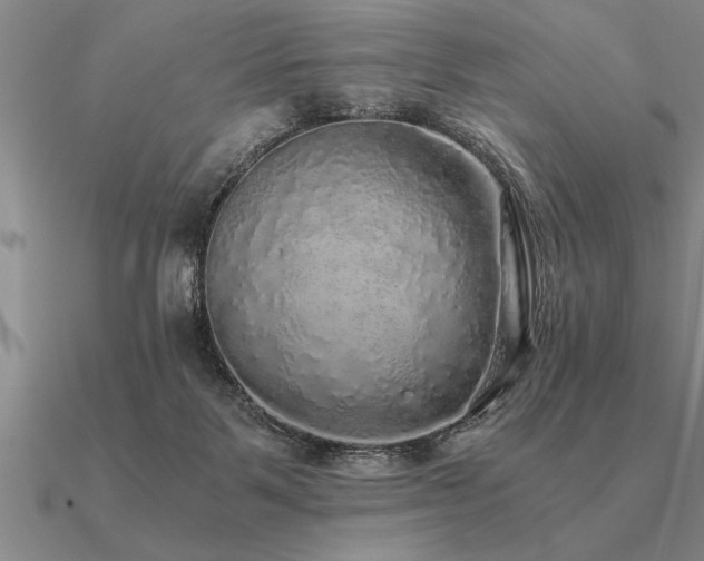 X0000091100123200708061428