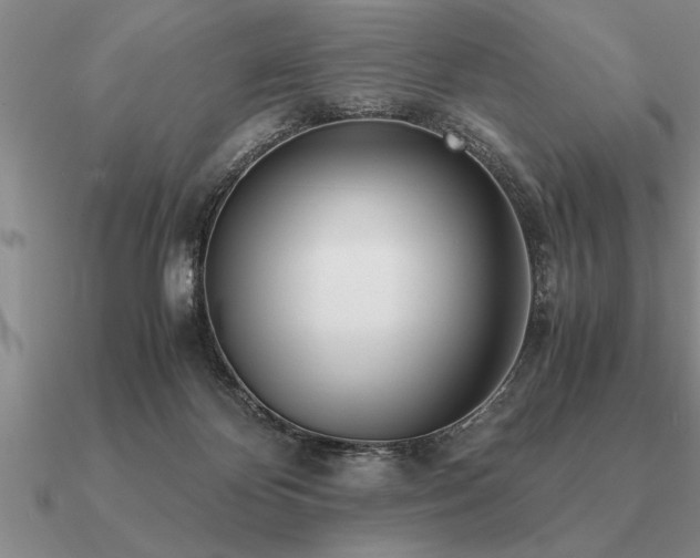 X0000091100124200708061428