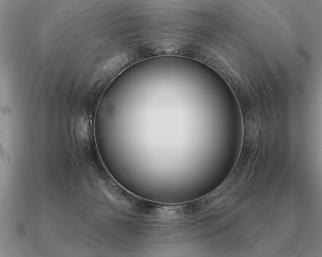 X0000091100126200708061428