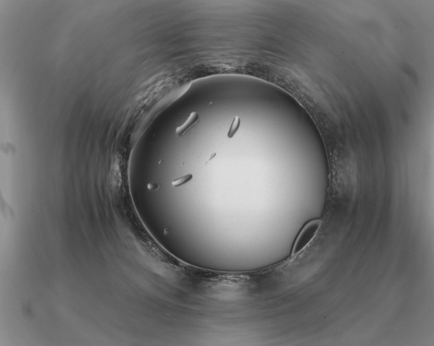 X0000091100128200708061428