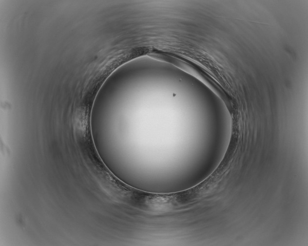 X0000091100129200708061428