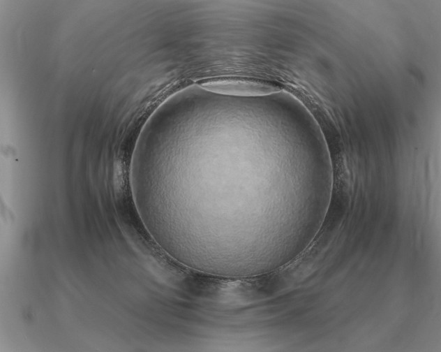 X0000091100130200708061428