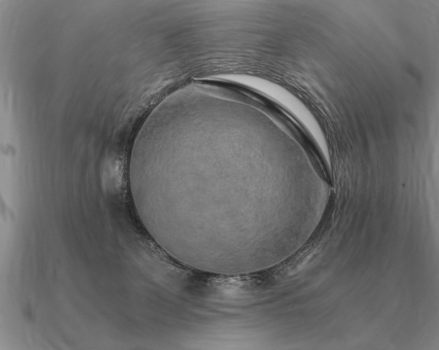 X0000091100131200708061428