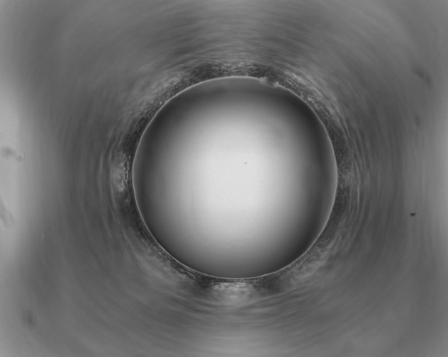 X0000091100133200708061428