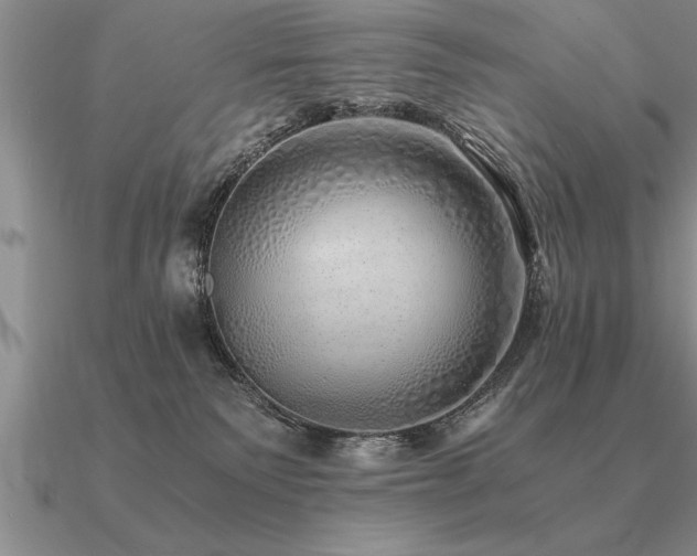 X0000091100135200708061428