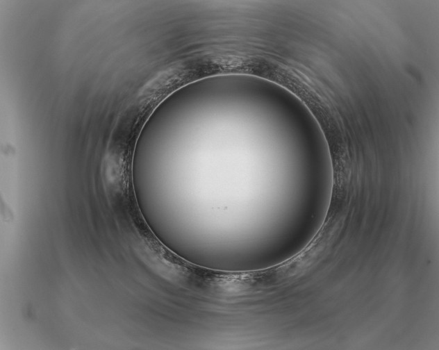 X0000091100136200708061428