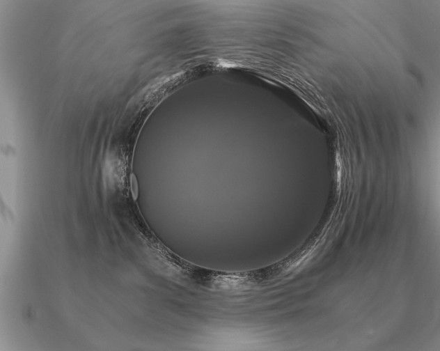 X0000091100139200708061428