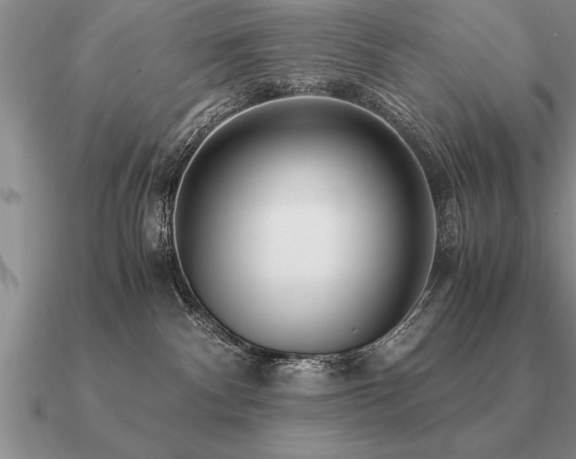 X0000091100140200708061427