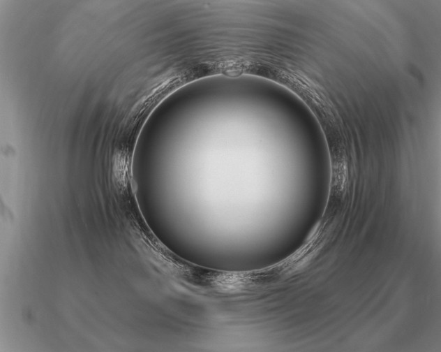 X0000091100142200708061427