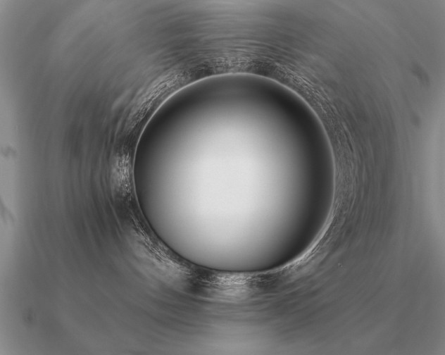 X0000091100144200708061427