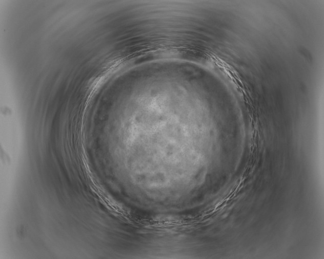 X0000091100145200708061427