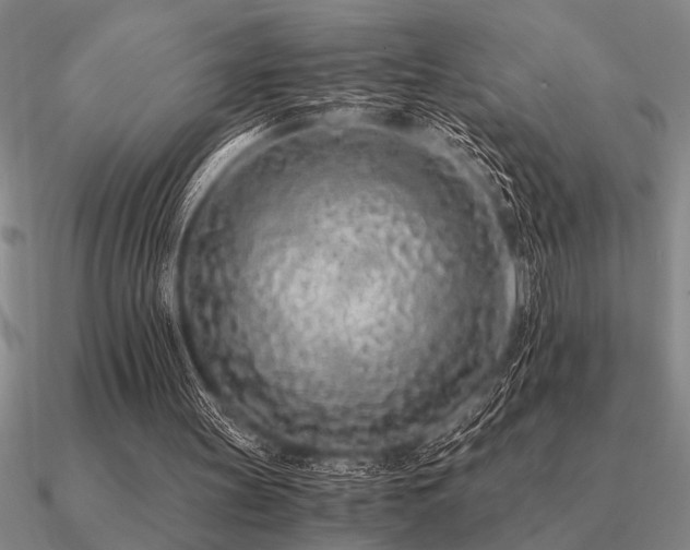 X0000091100147200708061427