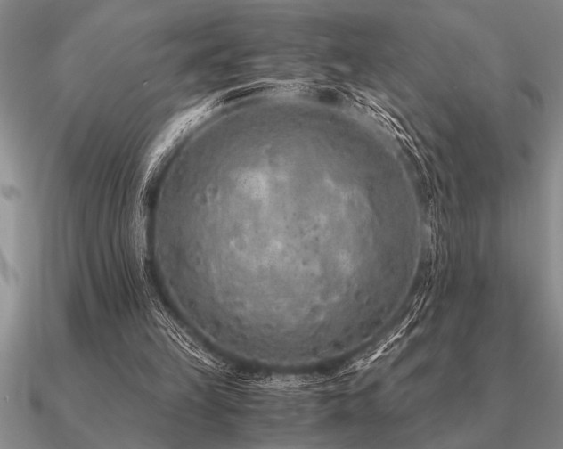 X0000091100149200708061427