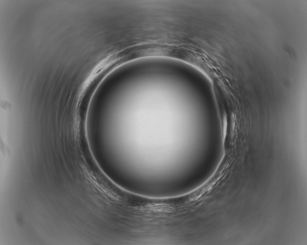 X0000091100150200708061427