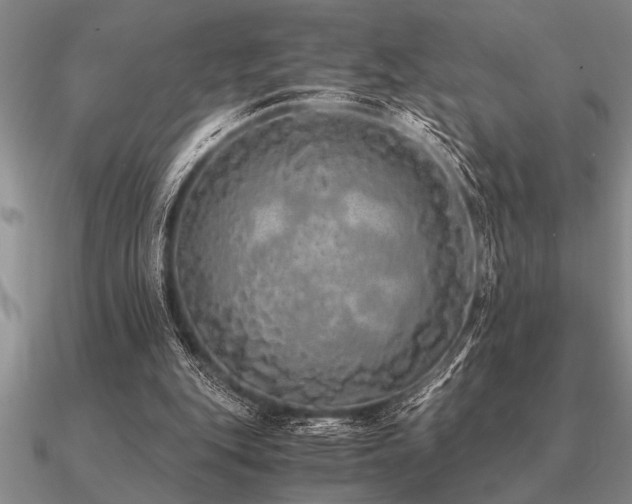 X0000091100151200708061427